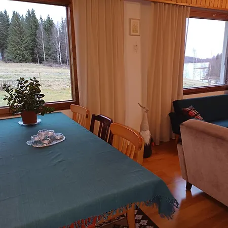 Naurismaeki Iisalmi Дом отдыха Рунни