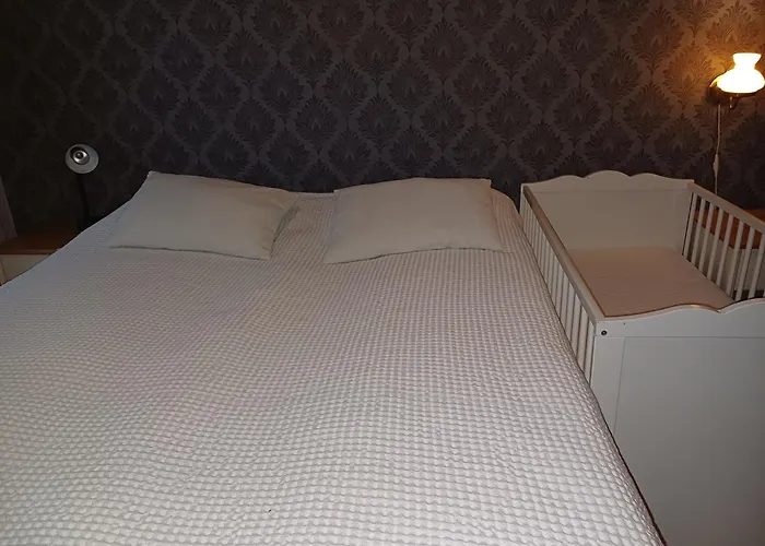 Naurismaeki Iisalmi בית נופש